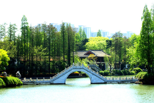 南京白鹭洲公园
