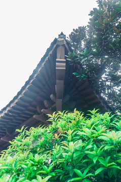 仿古建筑