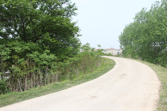 乡村道路 （10）