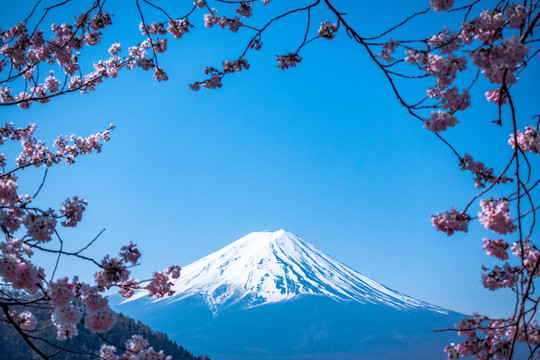 富士山