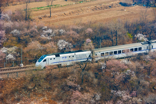 花海列车