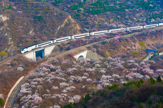 花海列车