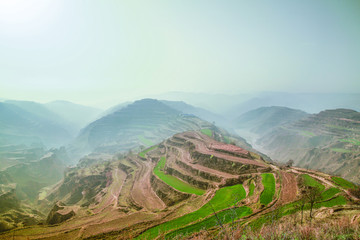 黄土高原