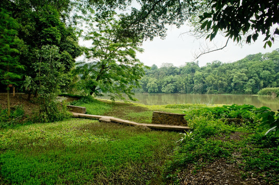 森林公园 湿地