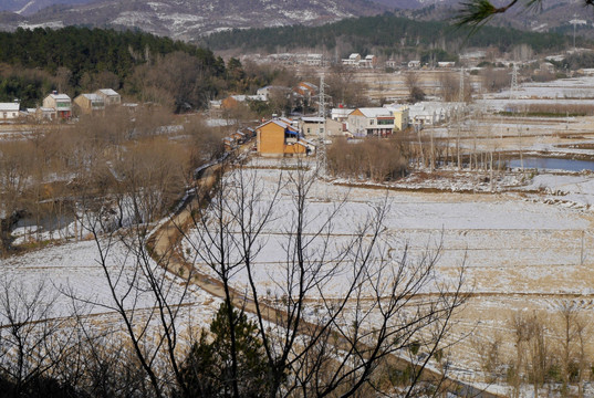 下雪农村