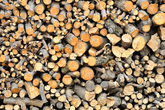 农村木材堆
