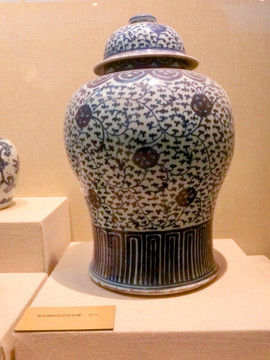 瓷器 古董 清朝 青花瓷罐 陶