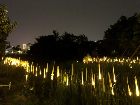 古镇湿地公园灯光公园