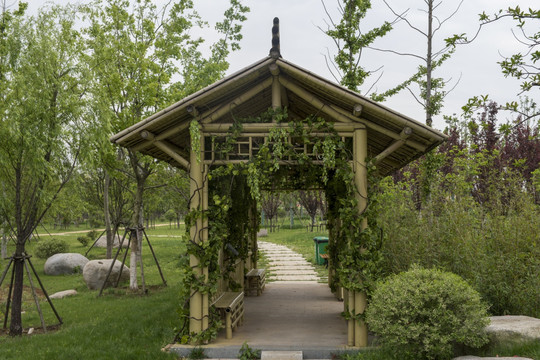 竹屋