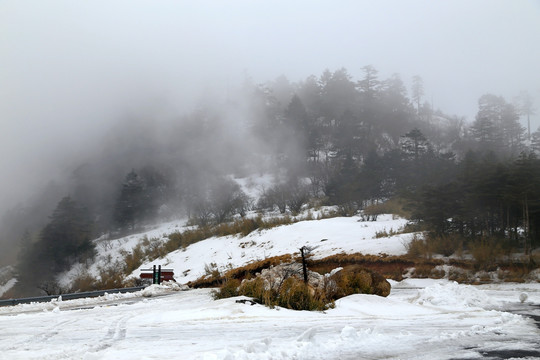 神农架 雪景
