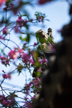 天津桃花堤