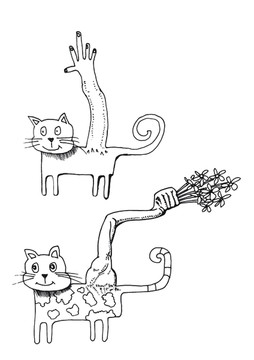 猫插画