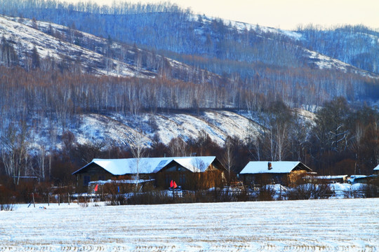 乡村农家雪景