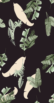 宝蓝热带植物