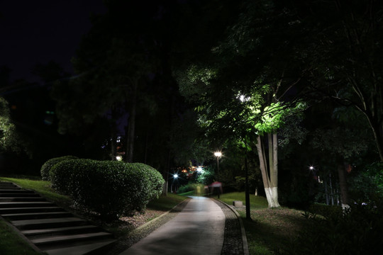 绣山公园夜景