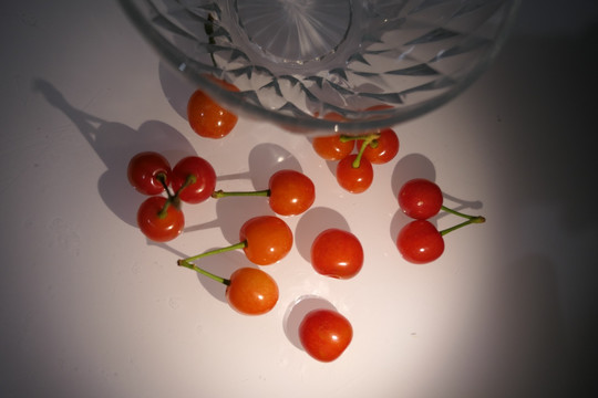樱桃