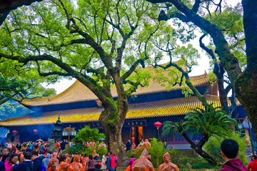 普陀山法雨寺