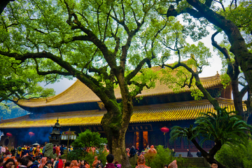 普陀山法雨寺