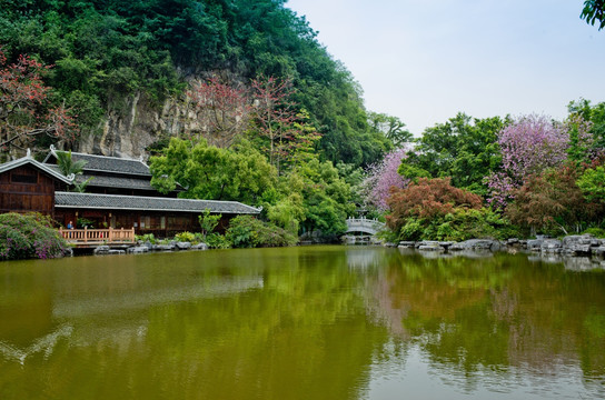 柳州风光 驾鹤小桃园