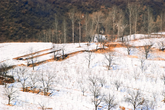 山村雪景