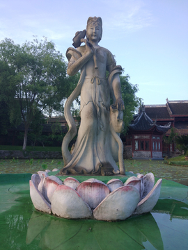 荷花仙子