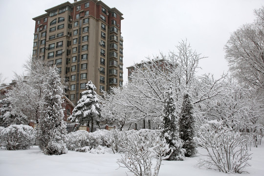 城市公园雪景