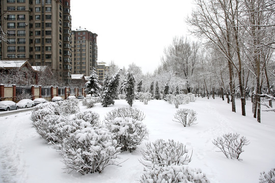 城市公园雪景