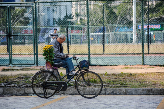 老人与单车