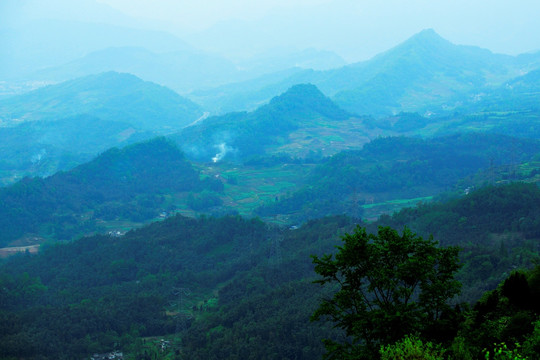 雅安蒙顶山茶园