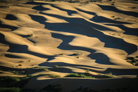 巴丹吉林沙漠的曲线