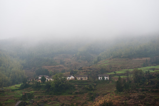 云雾中的山村