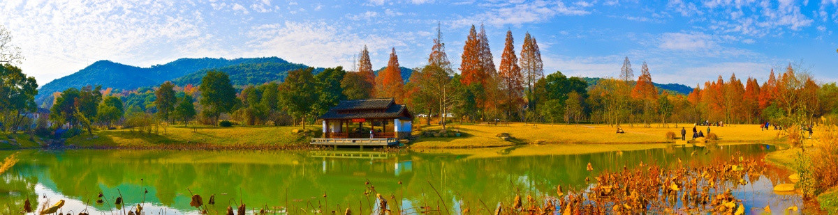 唯美风景 杭州植物园