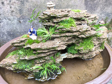 盆景