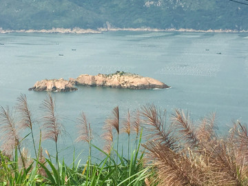 海岛