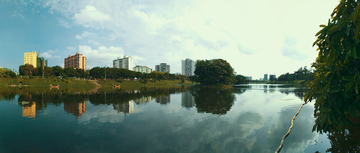 湖畔风景全景图 海南海口