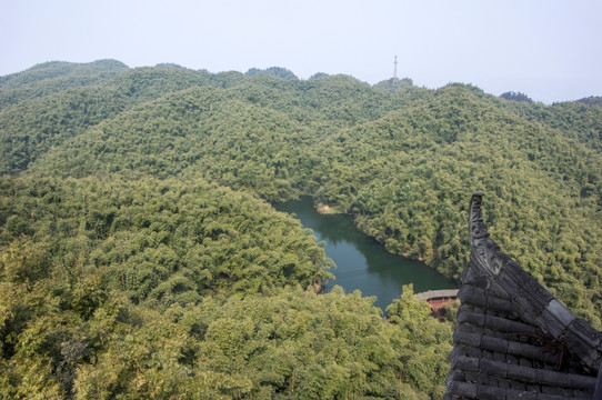 沐川竹海