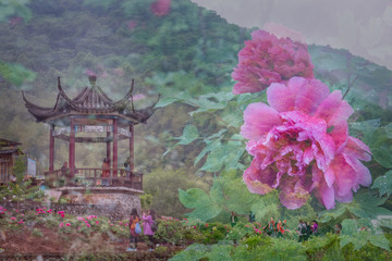 畅游花海