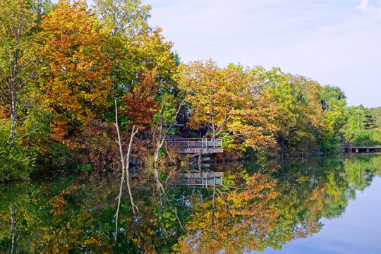 秋季湖泊彩林