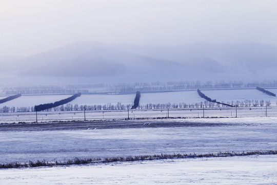 农田雪景