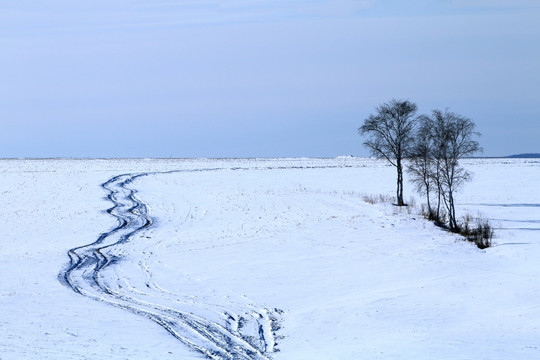 雪野车辙