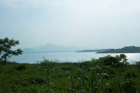 风景画