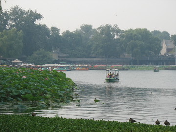 后海
