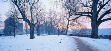 雪景