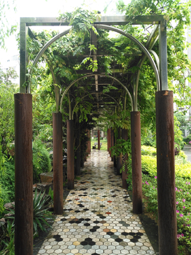 绿藤花廊