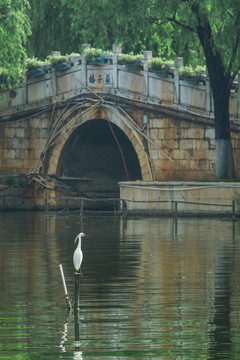 昆明翠湖小景