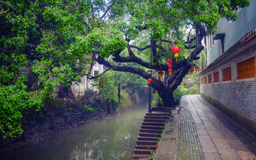 岭南水乡 顺德逢简村