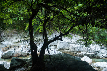 山涧溪流