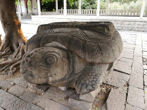 泉州开元寺 石龟