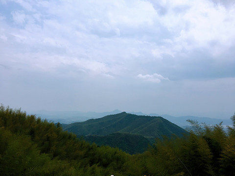 山