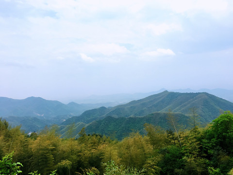 青山